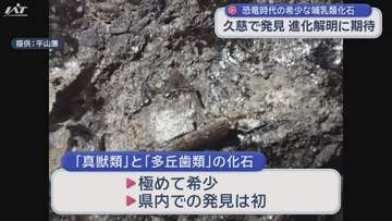 きわめて希少 ９０００万年前の地層から哺乳類化石【岩手・久慈市】