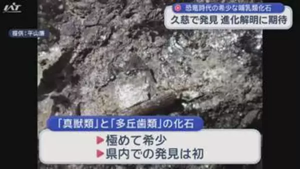 きわめて希少 ９０００万年前の地層から哺乳類化石【岩手・久慈市】