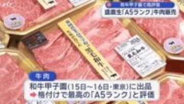 和牛甲子園で最高評価「Ａ５」・高校生が牛肉販売【岩手】