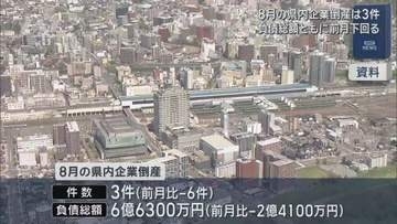 県内企業倒産　８月は件数・負債総額ともに前月を下回る【岩手】