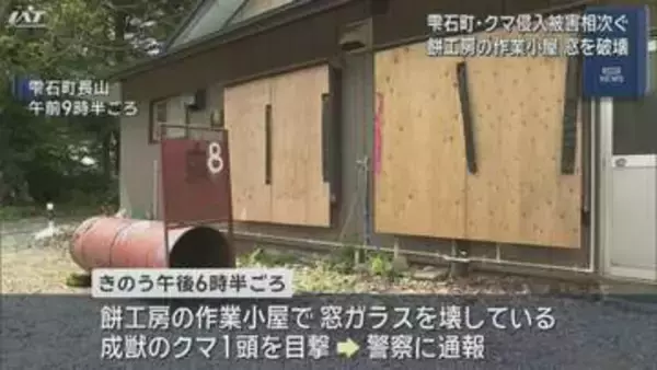 クマ侵入被害相次ぐ　餅工房の作業小屋では窓破壊【岩手・雫石町】