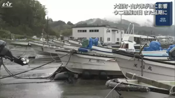 ウニ漁解禁日また延期に　大槌町・山火事影響で【岩手】