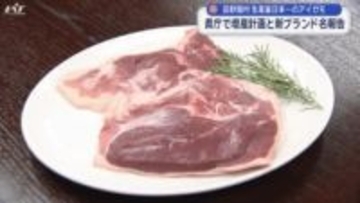 生産量日本一　田野畑村のアイガモ　県庁で増産計画と新ブランド名報告【岩手・盛岡市】