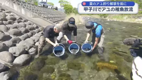 甲子川でのアユ稚魚２５０キロ放流【岩手・釜石市】