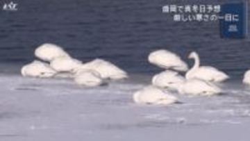 盛岡で真冬日予想　宮古市と野田村に林野火災警報【岩手】