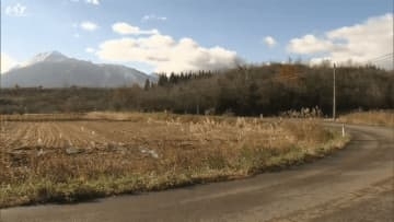 男性クマに襲われる　犬の散歩中に…頭や腕けが【岩手・八幡平市】