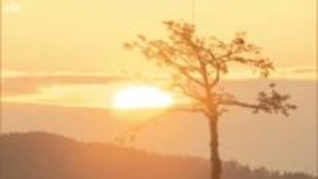 東日本大震災から１５年　各地で追悼の祈り【岩手】