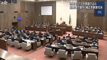 物価高やクマ対策へ　総額４７７億円の補正予算案可決【岩手】