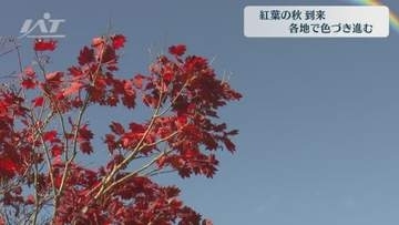 各地で紅葉　色づき進む