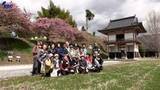 「津波到達点に植えられたサクラを巡る散策会　県内外17人が境内のカワヅザクラなど見学　記憶の伝承へ東日本大震災被災地の岩手・陸前高田市で」の画像1
