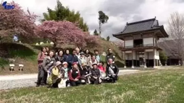 津波到達点に植えられたサクラを巡る散策会　県内外17人が境内のカワヅザクラなど見学　記憶の伝承へ東日本大震災被災地の岩手・陸前高田市で