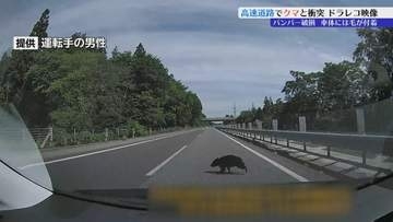 「わっ！危ない！（ドン！）…クマひいちゃった今…」東北道で仙台市の男性の車がクマと衝突　その瞬間を収めたドラレコ映像　バンパーは割れ、クマの毛が付着　その時の感触は…　岩手