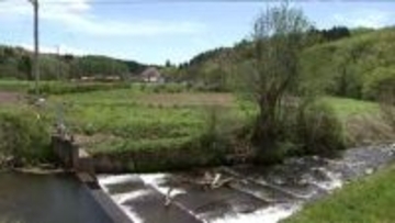 山林で獣に傷つけられたとみられる女性の遺体見つかる　クマに襲われたとみて調査　岩手・八幡平市
