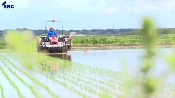 岩手県内の田植え進捗率67％で概ね適期　県は田植え後の深水管理と気象状況に合わせた栽培管理に注意呼びかけ