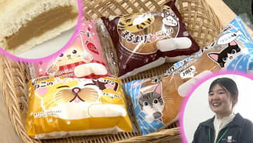 ネコ好きの社員が中心となって開発　「ねこパン」が大ヒット　中心メンバーに商品に込めた思いを聞く　盛岡市
