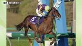 「武豊騎手騎乗のシーズザスローンは6枠7番　そのほか戸崎圭太騎手、坂井瑠星騎手らが参戦　9月1日の不来方賞（JpnII）の枠順決まる　岩手競馬　盛岡競馬場」の画像1