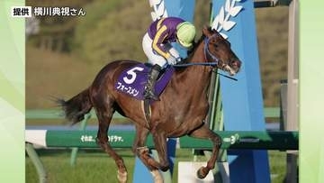 武豊や戸崎圭太、坂井瑠星ら参戦　不来方賞（JpnII）の枠順決まる　岩手競馬　9月1日盛岡競馬場