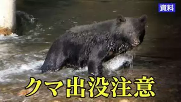 盛岡市内でクマ目撃相次ぐ　いずれも成獣　人的物的被害なし