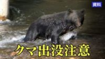 盛岡市内でクマ目撃相次ぐ　いずれも成獣　人的物的被害なし