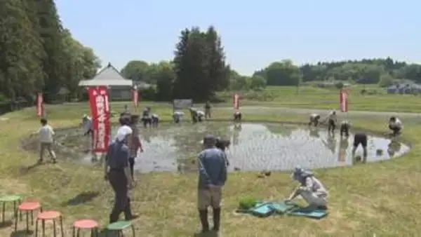 円形の「地蔵田」で伝統の田植え　収穫したコメは奉納　千厩町奥玉地域で継承　岩手・一関市