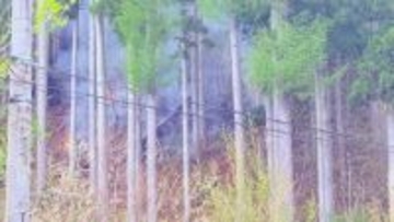 消防団員が消火栓のふたに手を挟まれ負傷　三陸道は大槌IC～山田南IC通行止め続く　山林火災6日目　焼失面積は1618haに拡大