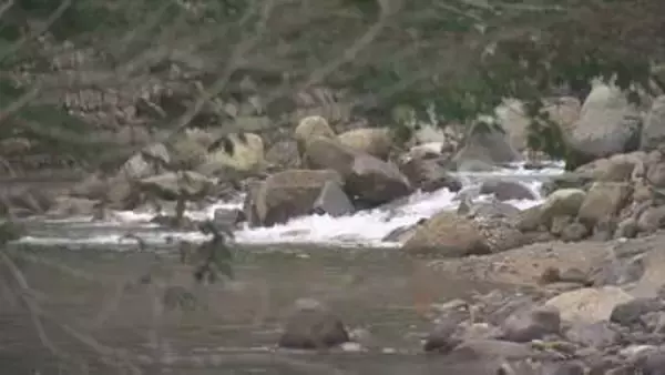 女性1人を滝つぼから救出も死亡を確認　沢登りで行方不明2人のうちの1人か　25日に引き上げた男性1人とともに警察が身元確認進める　岩手・雫石町