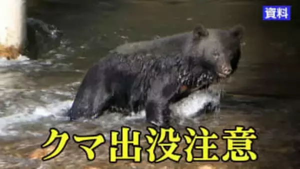 男性襲ったクマと遺体そばに現れ駆除された1頭は別個体　10月に発生した人身被害　採取した体毛でDNA型鑑定　発生後も地域で目撃情報　岩手・一関市