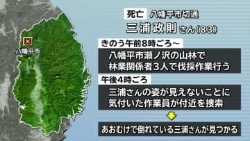 伐採作業中に83歳男性が死亡　仰向けで倒れているのを作業員が発見　頭に倒木が当たった可能性　岩手・八幡平市
