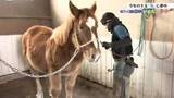 「「駿馬のごとく駆け抜ける」　馬耕や馬搬の文化を次世代へつなぐ、馬に夢中な男性たち　岩手」の画像1