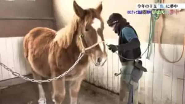 「駿馬のごとく駆け抜ける」　馬耕や馬搬の文化を次世代へつなぐ、馬に夢中な男性たち　岩手