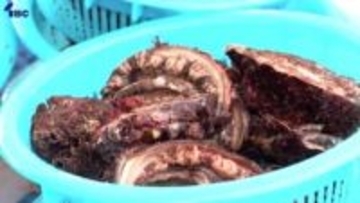 「鮭・あわびまつり」が開かれ来場者でにぎわう　抽選で「あわびとり体験」も　岩手・宮古市