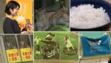 【いわてこの一年⑧】カフネ本屋大賞受賞、新しい県立高校誕生、今年も登場した大谷選手の田んぼアート、動物公園のかわいい赤ちゃんなどこの一年の明るい話題総まとめ　岩手
