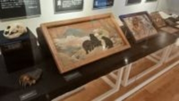 遠野、岩手の人たちがオオカミやクマなどの動物と人々がどう関わってきたかが分かる「遠野物語と動物」展　岩手・遠野市