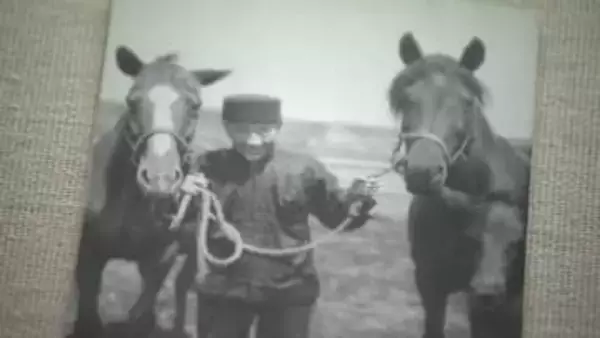 午年に起きた出来事や、午年生まれの岩手出身の有名人など2026年の干支「午」にちなんだ資料を集めた特別展　盛岡市