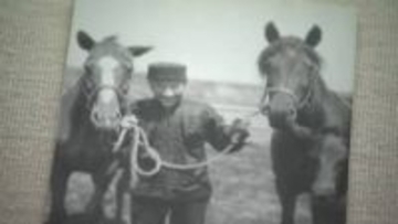 午年に起きた出来事や、午年生まれの岩手出身の有名人など2026年の干支「午」にちなんだ資料を集めた特別展　盛岡市