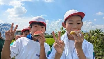 「こんなに大きくなるなんてびっくり」小学生が栽培を手伝ったスイカを収穫　一玉10kg以上の超大物も　早速採れたてのスイカを味わう　岩手・滝沢市