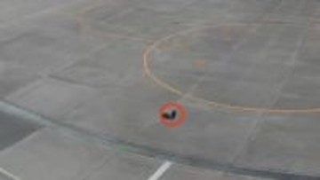 クマ出没　いわて花巻空港　閉鎖、発着停止