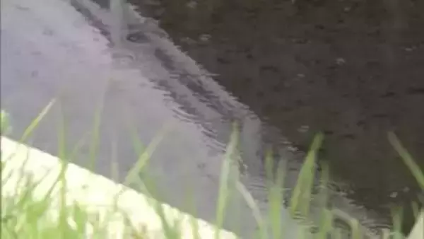 発生6日目で初の雨を観測　火の勢いおさまるか　大槌町山林火災　岩手