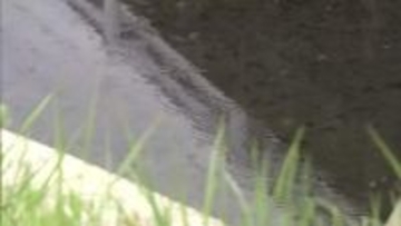 発生6日目にして初の雨を観測　火の勢い低下に期待　大槌町山林火災　岩手