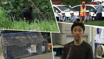 市街地でクマ出没相次ぐ　先日は岩手大学構内にも　その背景と対策を専門家に聞く　そして影響は各方面に・・・　盛岡市