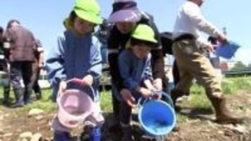 中津川で園児がアユの稚魚60kg放流　40年続く豊かな川づくり　盛岡
