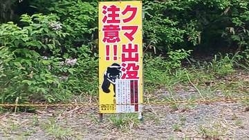 タケノコ採りの男性(77)発見に至らず　近くでクマの姿確認　立ち入り禁止区域で捜索は空中と拡声器による呼びかけ　秋田・仙北市