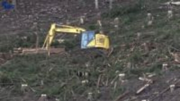 急しゅんな斜面で樹木の伐採　大船渡市が山林火災の復旧現場公開