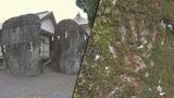 「「岩手」の県名の由来となっている三ツ石神社の岩に真新しい手形のような跡　関係者や参拝客の声は？　ところでもともとの「鬼の手形」はどこに？　盛岡市」の画像1