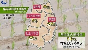 県内16％で田植え(5月11日時点)　平年よりやや早いペース　宮古市など東部地帯が24％と最も進む　適期は25日まで　岩手