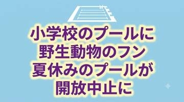 【独自】小学校のプールに野生動物のフン　大腸菌など感染症の危険で“夏休みのプール開放”中止に　校長「児童の安全を第一に考えた苦渋の判断」　岩手・北上市