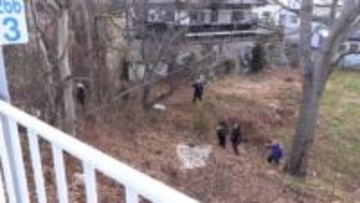 住宅街に子グマ1頭が出没　3時間後に捕獲　山に放す見込み　岩手・宮古市