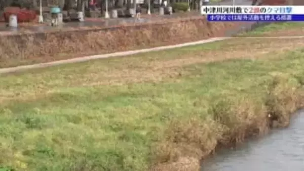 盛岡市中心部の中津川河川敷で2頭のクマ目撃される　近くの小学校は野外活動控える