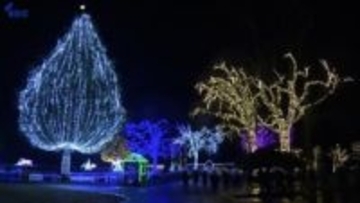 冬の小岩井農場を彩る恒例のイルミネーション「銀河農場の夜」　12月1日スタート