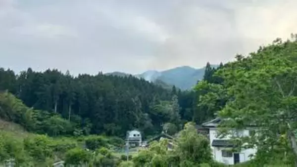 県内で山林火災が相次ぐ　大船渡は通報から1時間で鎮圧　軽米でも1.6ha焼く火事発生　岩手